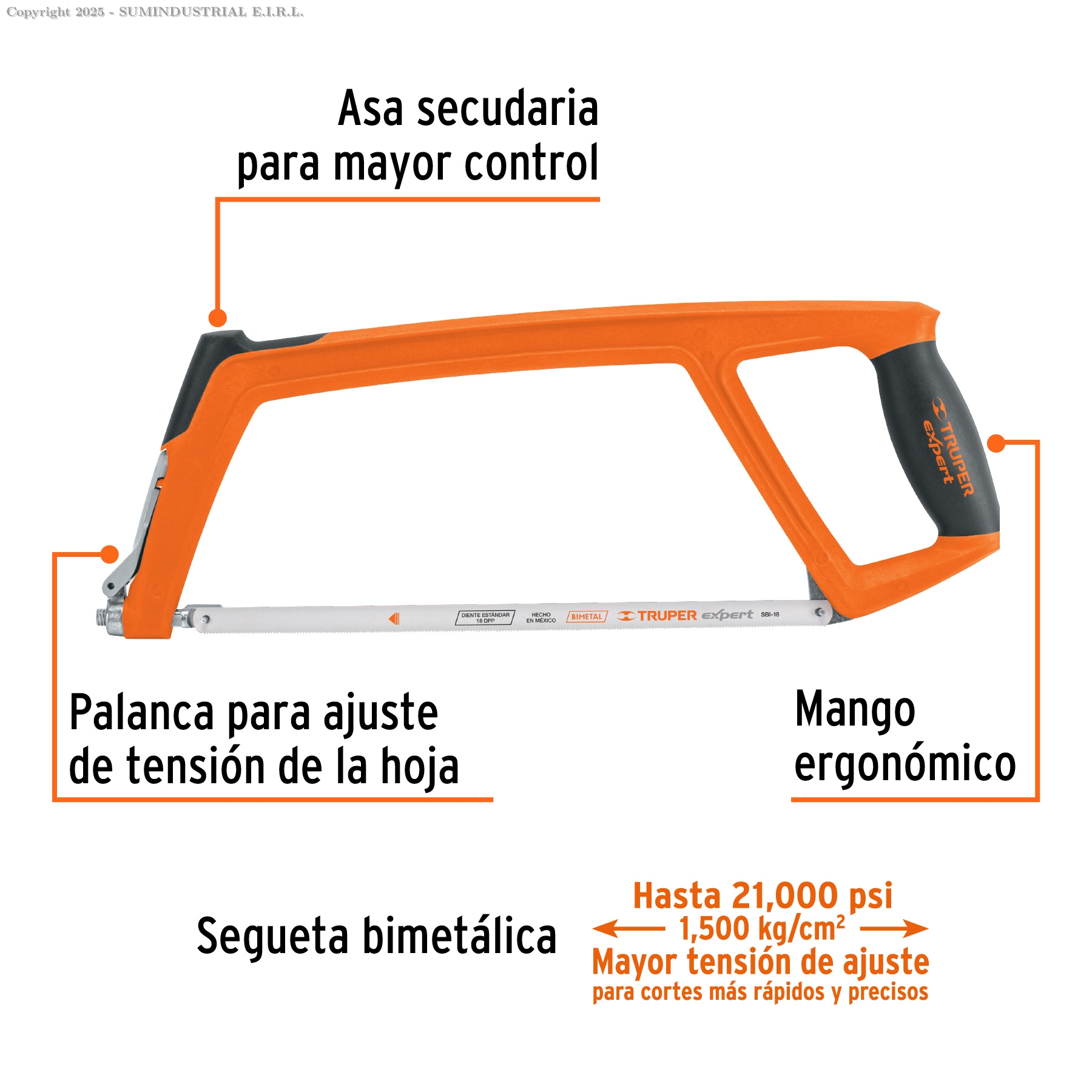 ARCO 12