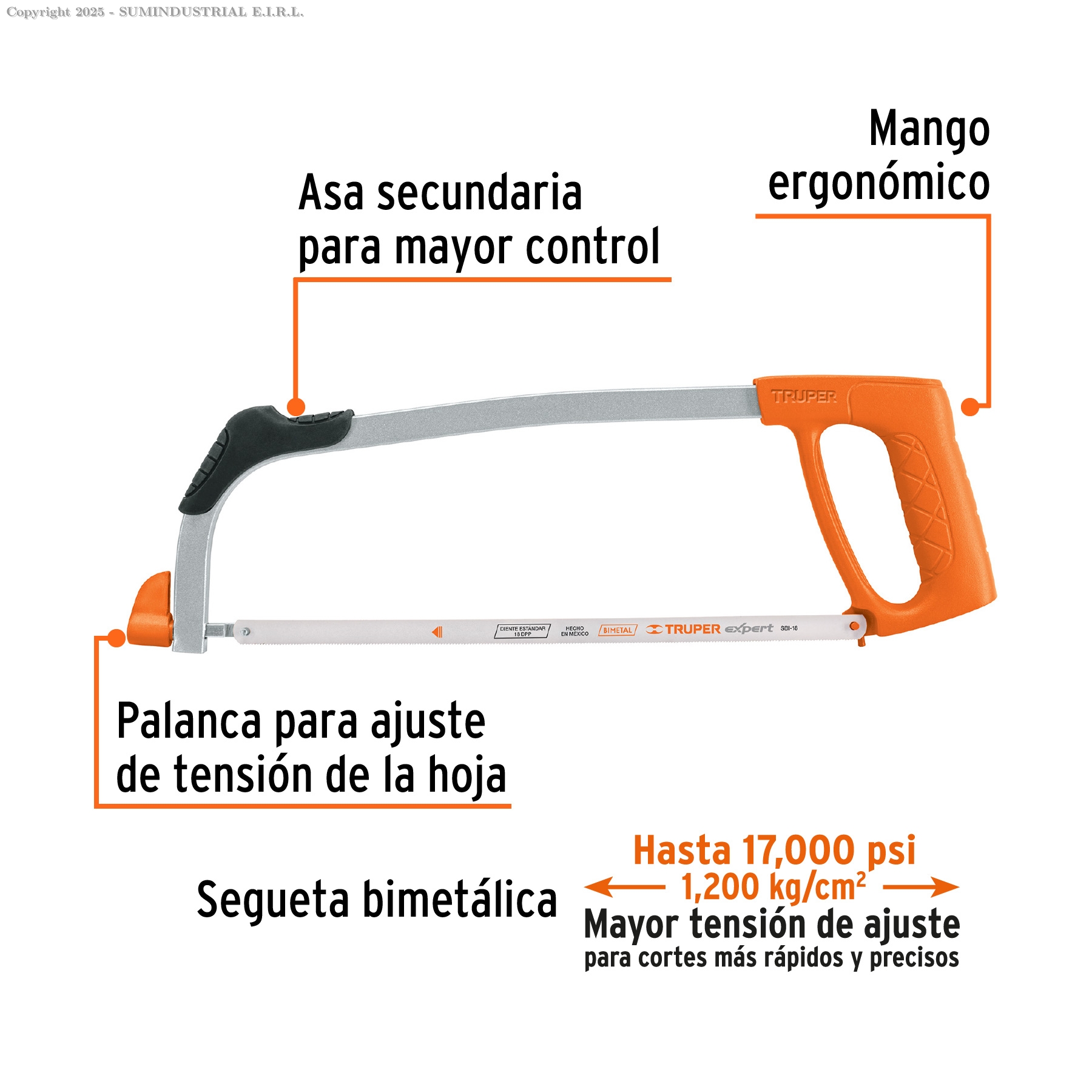 ARCO 12